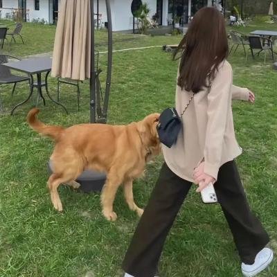 芭拉芭拉樱之花